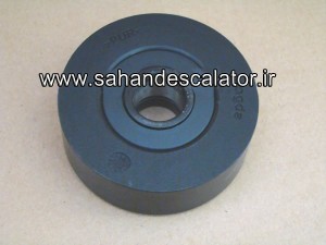 BigBull_0037 - Copy