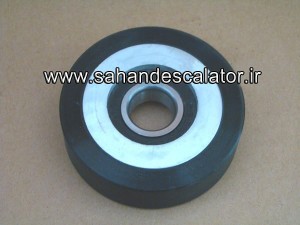 BigBull_0041 - Copy