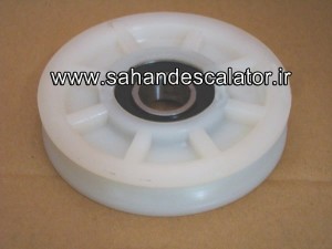 BigBull_0061 - Copy